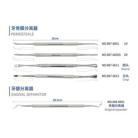 Periosteals & Gngival separator, Dental Instrument